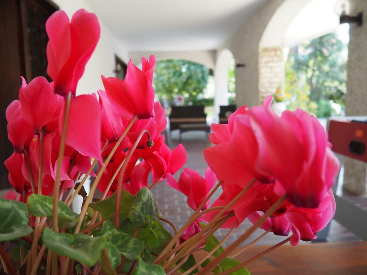 B&B Villa Filotea & Apartment Desenzano del Garda Luaran gambar